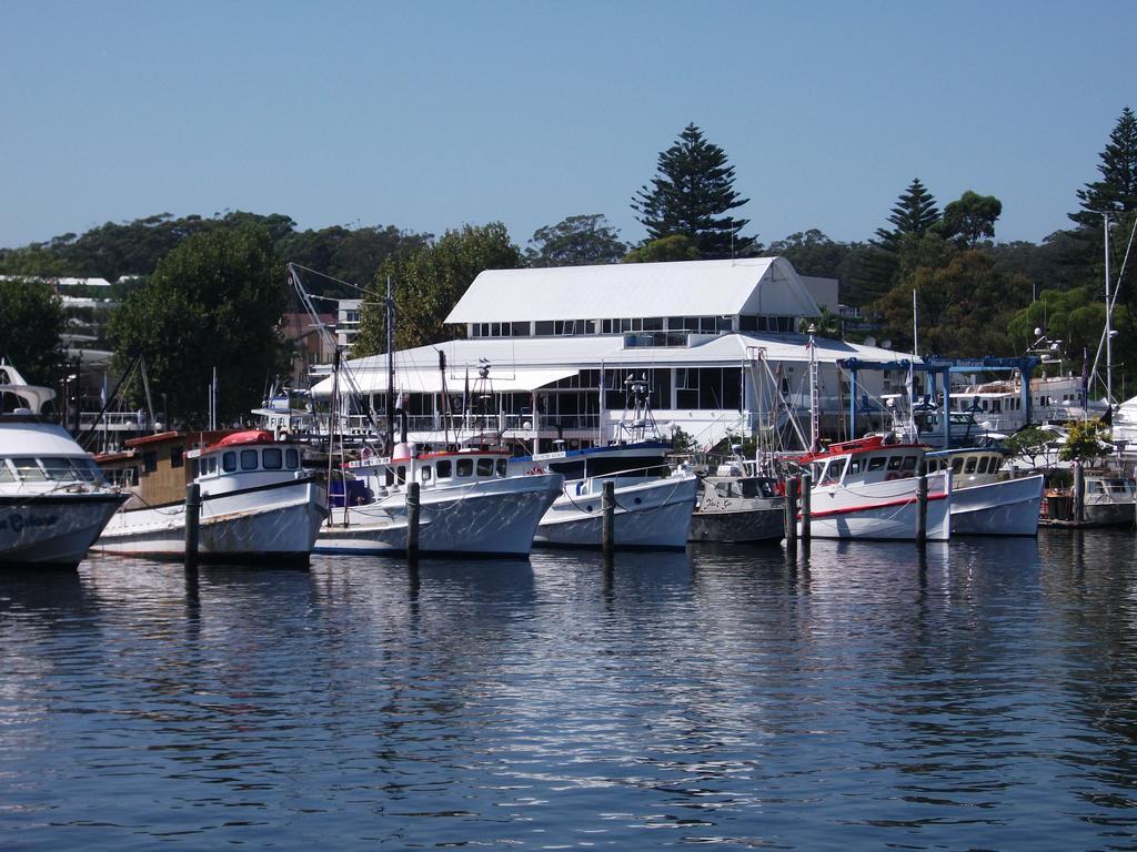 Tomaree Lodge Nelson Bay Exteriér fotografie